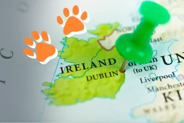 Bring dog to Ireland - now you can!