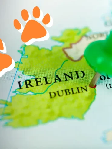 Bring dog to Ireland - now you can!