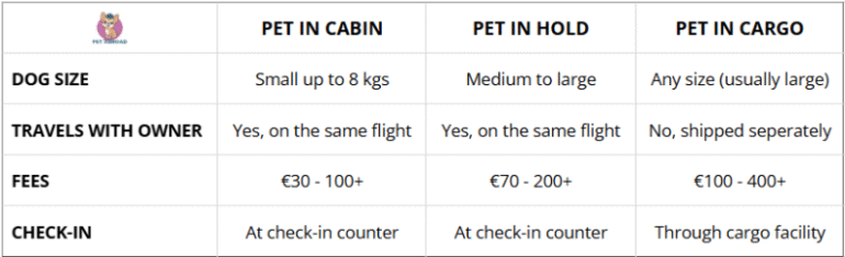 How to fly with dog: Complete guide to stress-free travel ️