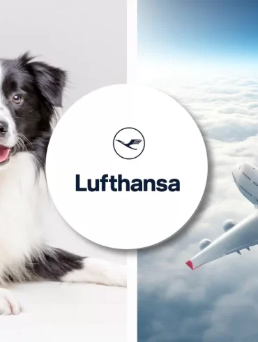 Lufthansa pet travel policy for all dogs