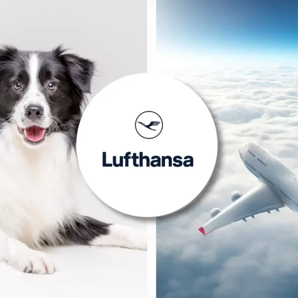 Lufthansa pet travel policy for all dogs