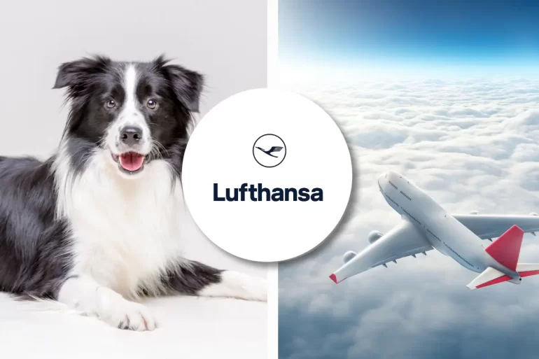 Lufthansa pet travel policy for all dogs