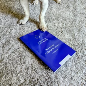 Pet travel documents - EU pet passport