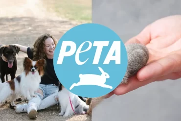 Peta Europe vs PetAbroad