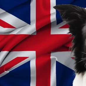 Taking dog to Europe from UK