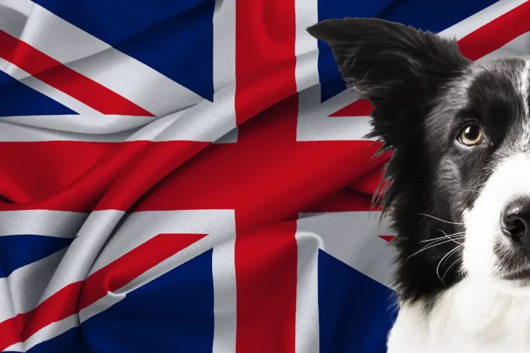 Taking dog to Europe from UK