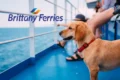 Brittany Ferries dogs on board