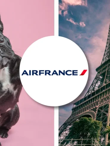 Air France pet policy