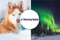 Finnair pet policy