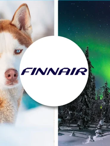 Finnair pet policy