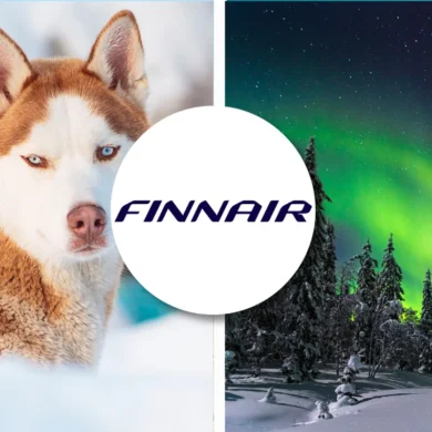 Finnair pet policy