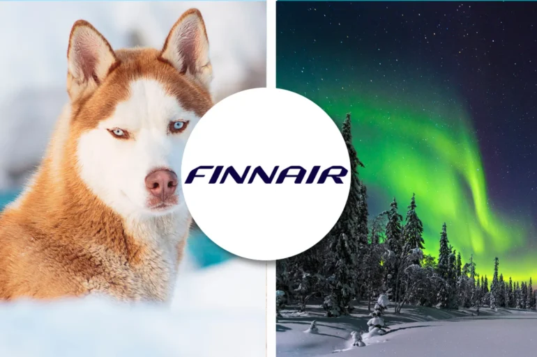 Finnair pet policy