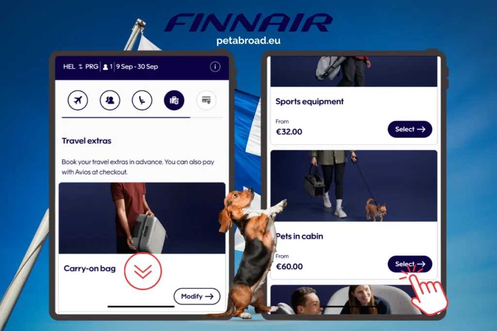 Finnair pet policy - dog in cabin booking