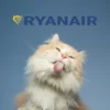 Ryanair pet policy