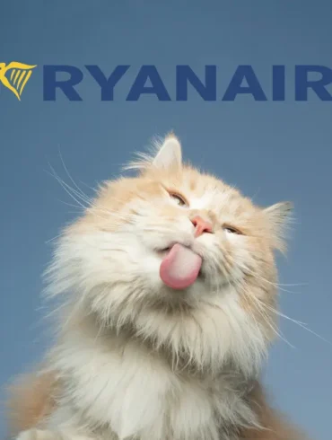 Ryanair pet policy