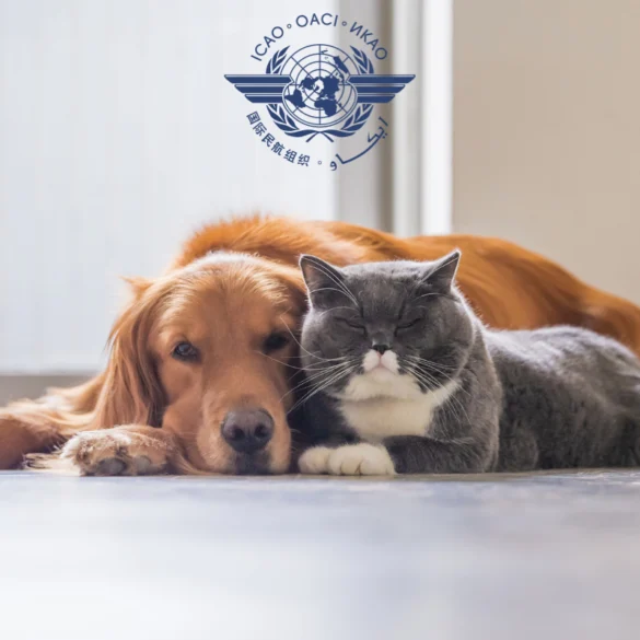 ICAO pet safety news September 2025