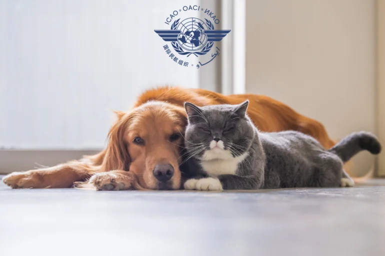 ICAO pet safety news September 2025