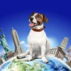 Pet travel USA