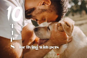 10 tips for flying with dog