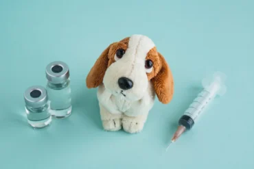 Dog travel vaccination before flying