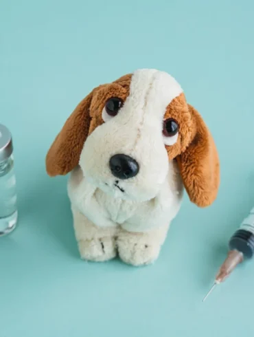 Dog travel vaccination before flying