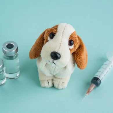 Dog travel vaccination before flying