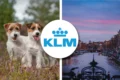 KLM pet policy