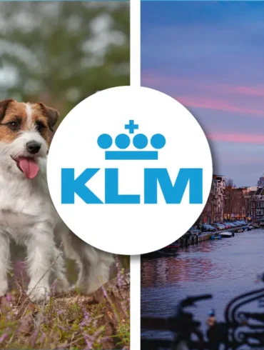 KLM pet policy