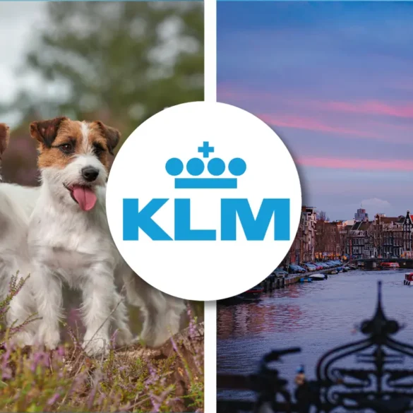 KLM pet policy