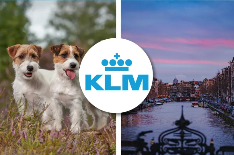 KLM pet policy