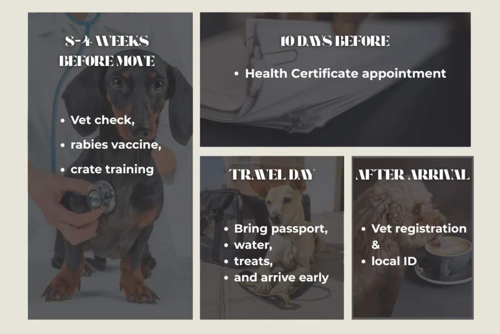 Timeline for moving to Europe with pet