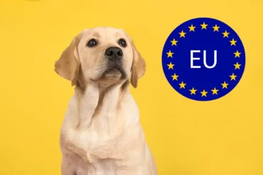 Pets in cargo classified as baggage - Travel News