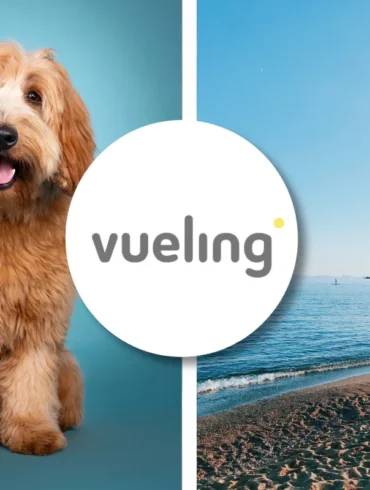 Vueling pet policy