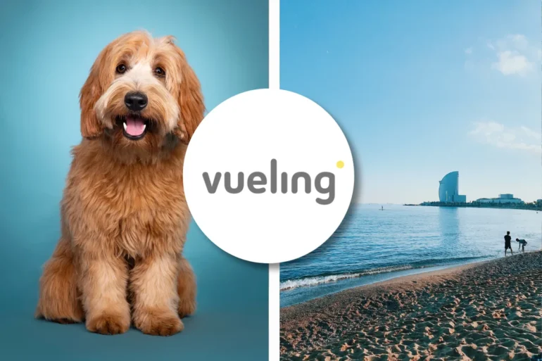 Vueling pet policy