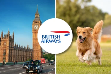 British Airways pet policy