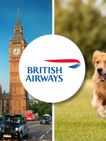 British Airways pet policy