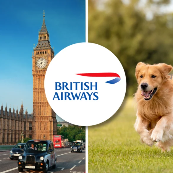 British Airways pet policy