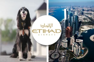 Etihad Airways pet policy
