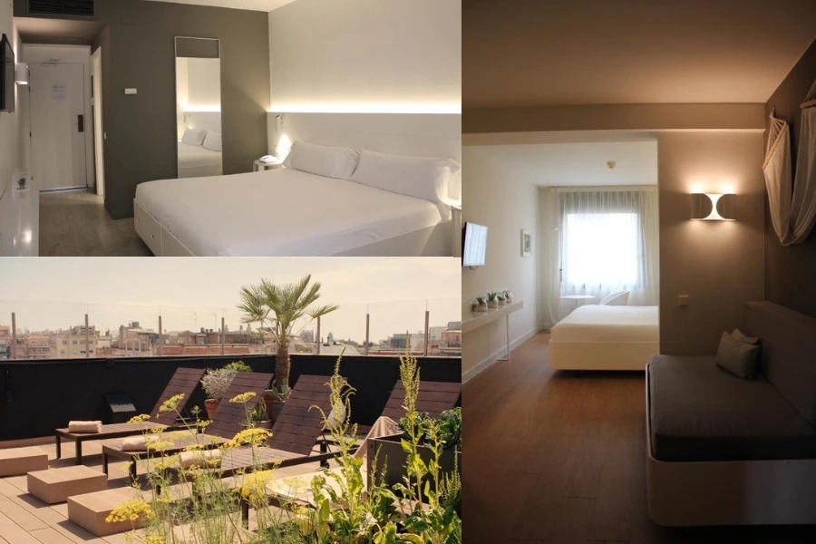 Pet friendly hotels in Barcelona Pol and Grace