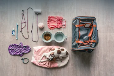 Air travel accessories for dogs