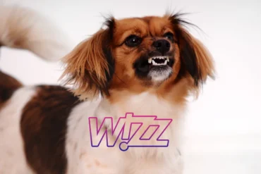 Wizz Air pet policy