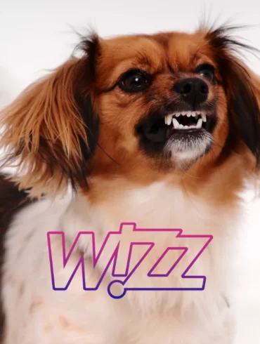 Wizz Air pet policy