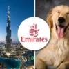 Emirates pet policy