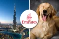 Emirates pet policy