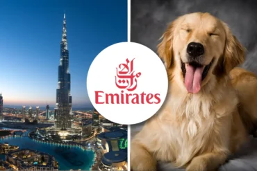 Emirates pet policy