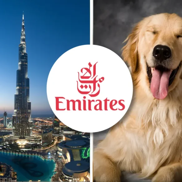 Emirates pet policy