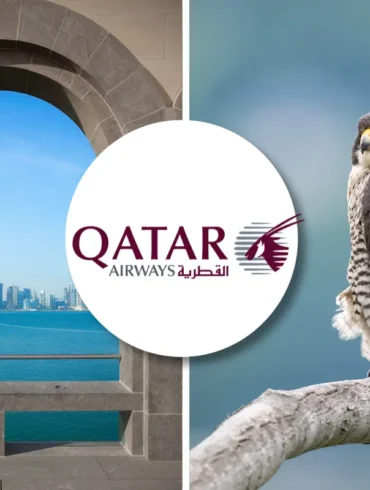 Qatar Airways pet policy