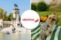 Iberia pet policy