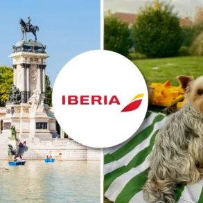 Iberia pet policy