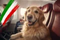 Italy medium dogs in cabin - Pet travel news